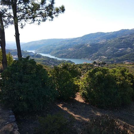 Paraiso Hills - Encostas Do Paraiso: Tranquilidade No Douro Resende Dış mekan fotoğraf