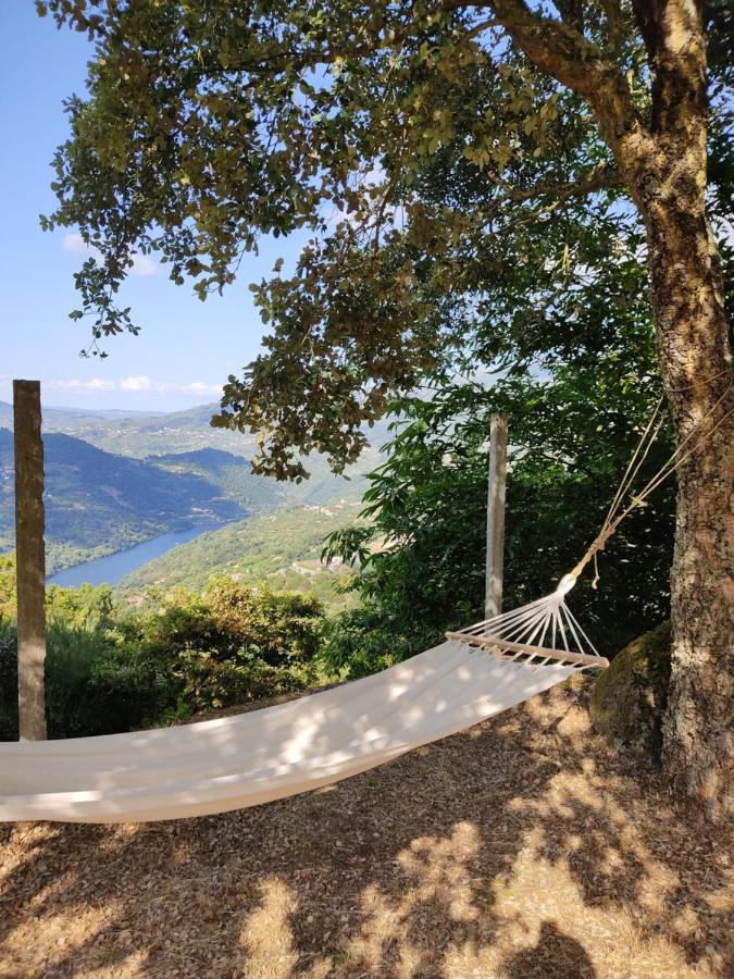 Paraiso Hills - Encostas Do Paraiso: Tranquilidade No Douro Resende Dış mekan fotoğraf
