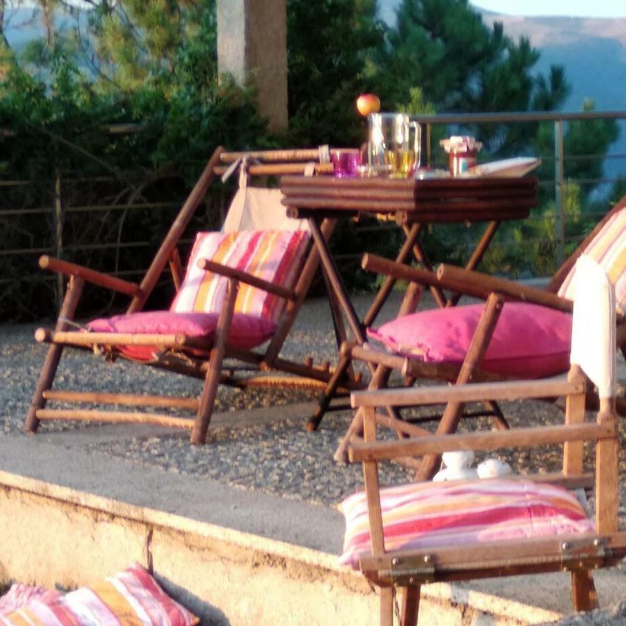 Paraiso Hills - Encostas Do Paraiso: Tranquilidade No Douro Resende Dış mekan fotoğraf
