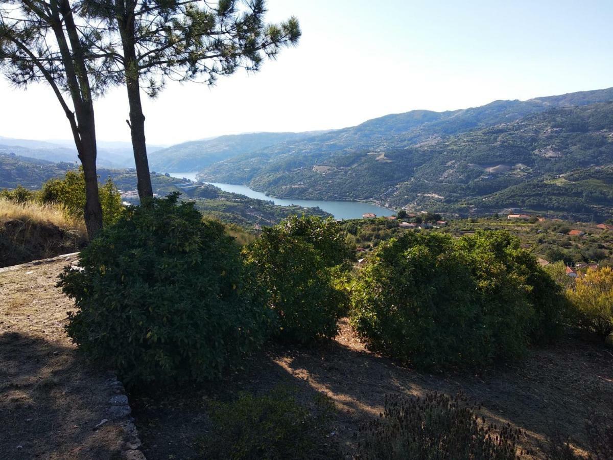 Paraiso Hills - Encostas Do Paraiso: Tranquilidade No Douro Resende Dış mekan fotoğraf